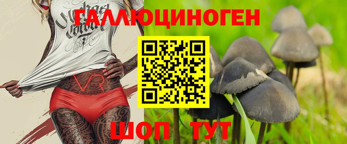 Псилоцибиновые грибы GOLDEN TEACHER Маркс