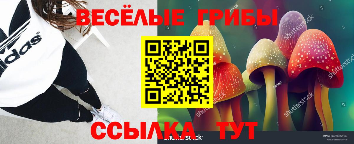 Маркс  Галлюциногенные грибы Psilocybine cubensis  Вход с VPN 